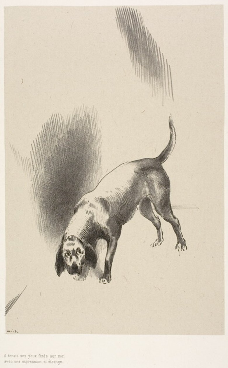 Han [berättarens hund] höll blicken fäst på mig med en så märklig blick, plansch 3 av 6 av Odilon Redon