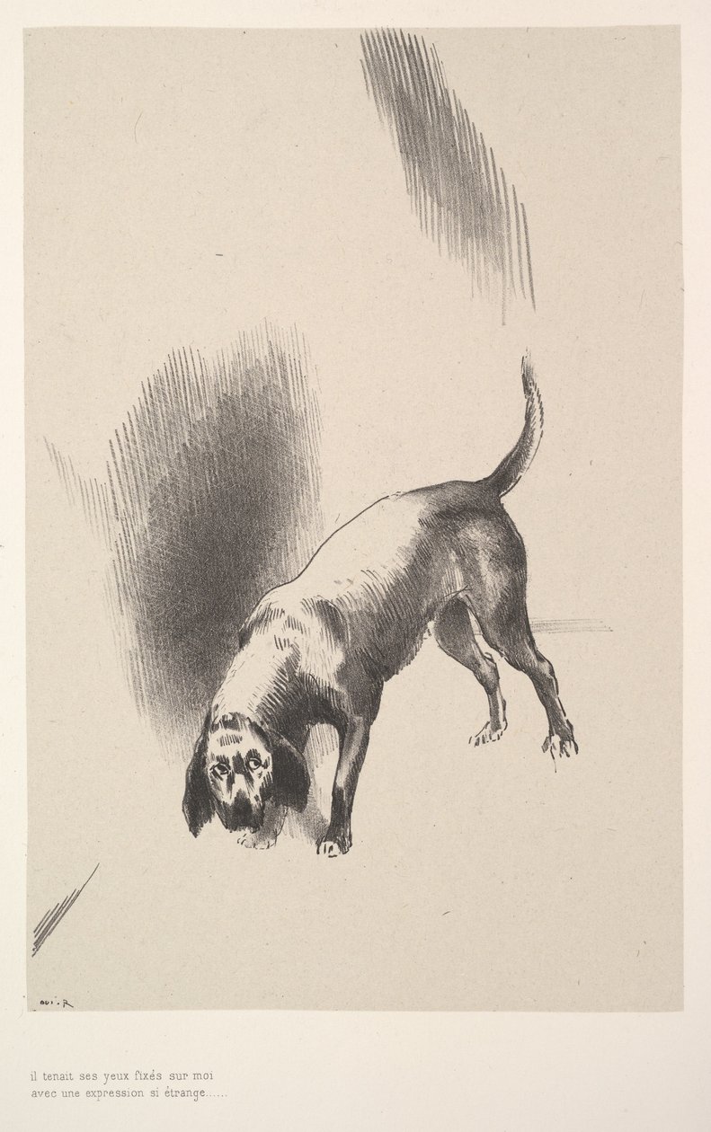 Han fäste blicken på mig med ett uttryck som var så konstigt, 1896. av Odilon Redon