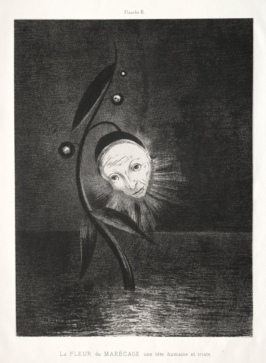 Homage to Goya: The Marsh Flower, a Sad Human Head, 1885. av Odilon Redon