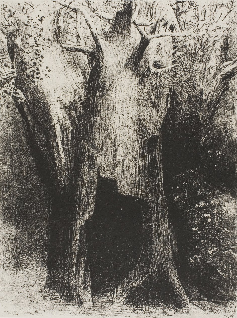 swedish av Odilon Redon