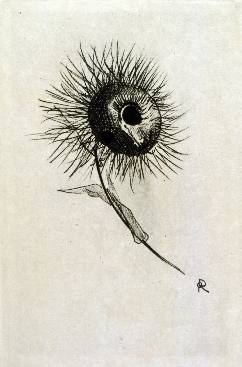 Illustration för 