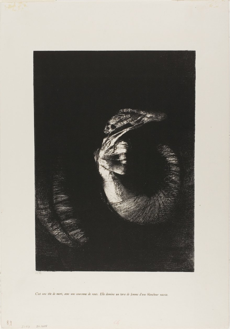 Det är en skalle klädd i rosor... av Odilon Redon