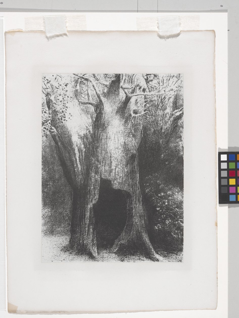 I Sunk Into Solitude (litografi på kinesiskt applikationspapper) av Odilon Redon