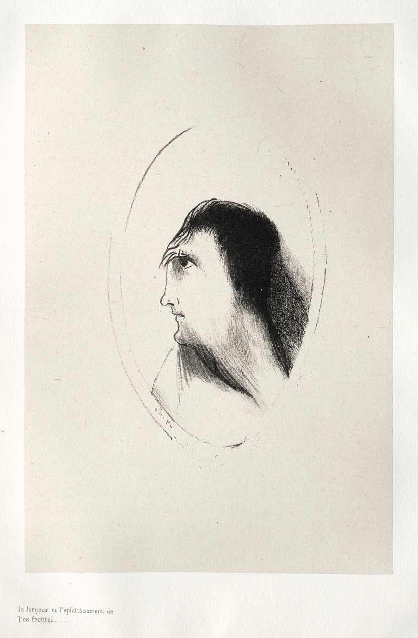 The Haunted House: The Width and Flatness of the Frontal [Bone], 1896. av Odilon Redon