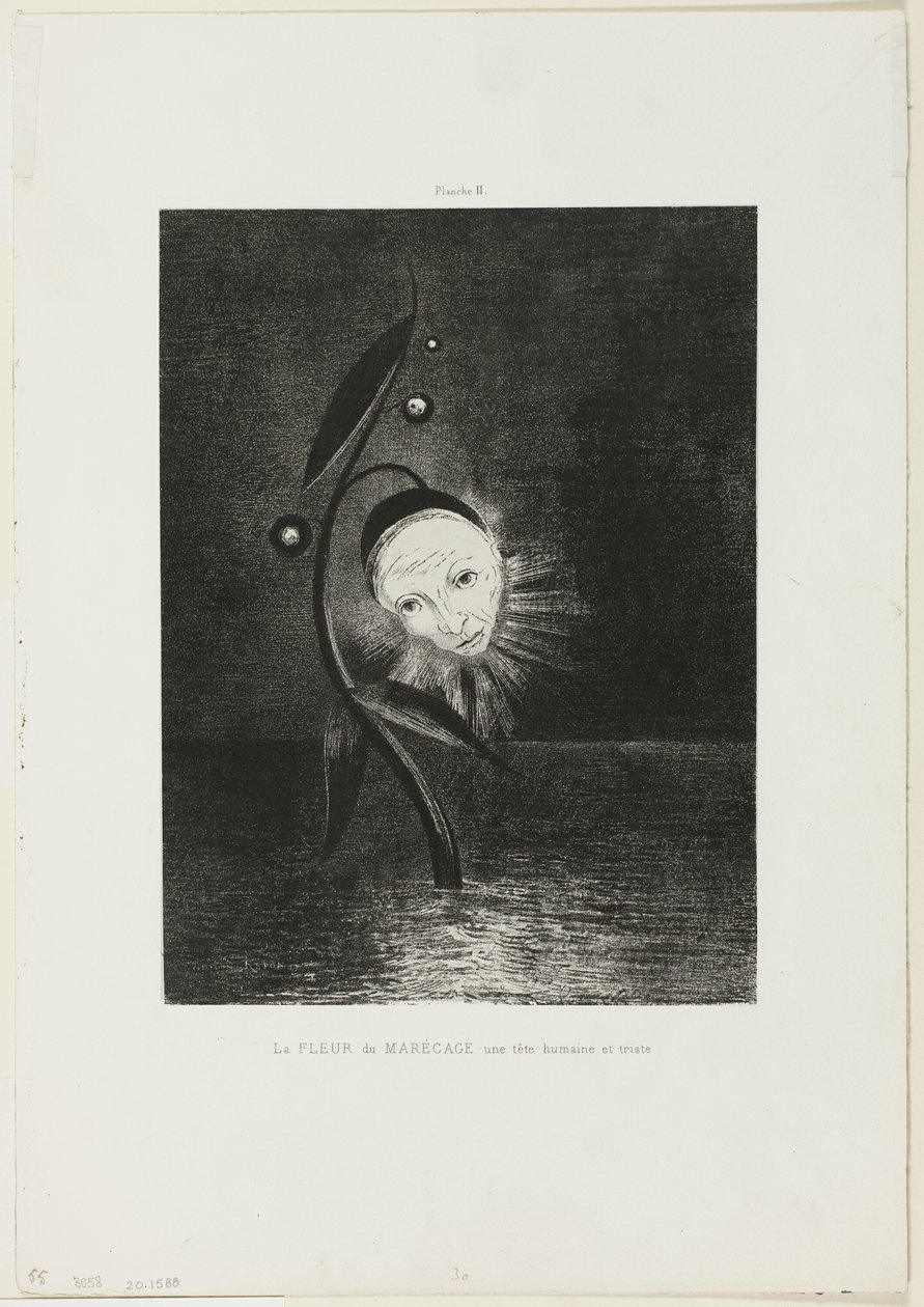 Marsh Flower, a Sad Human Head, tallrik 2 av 6 av Odilon Redon