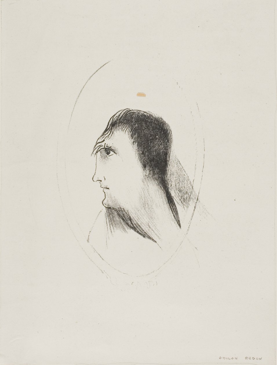 Bredden och planheten hos [det] frontala [benet], plåt 6 av 6 av Odilon Redon