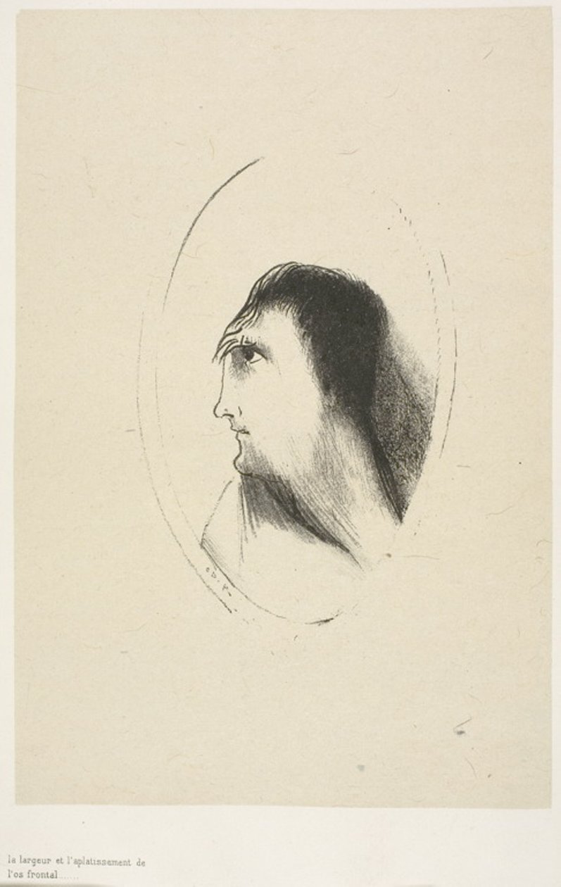 Bredden och planheten hos [det] frontala [benet], plåt 6 av 6 av Odilon Redon