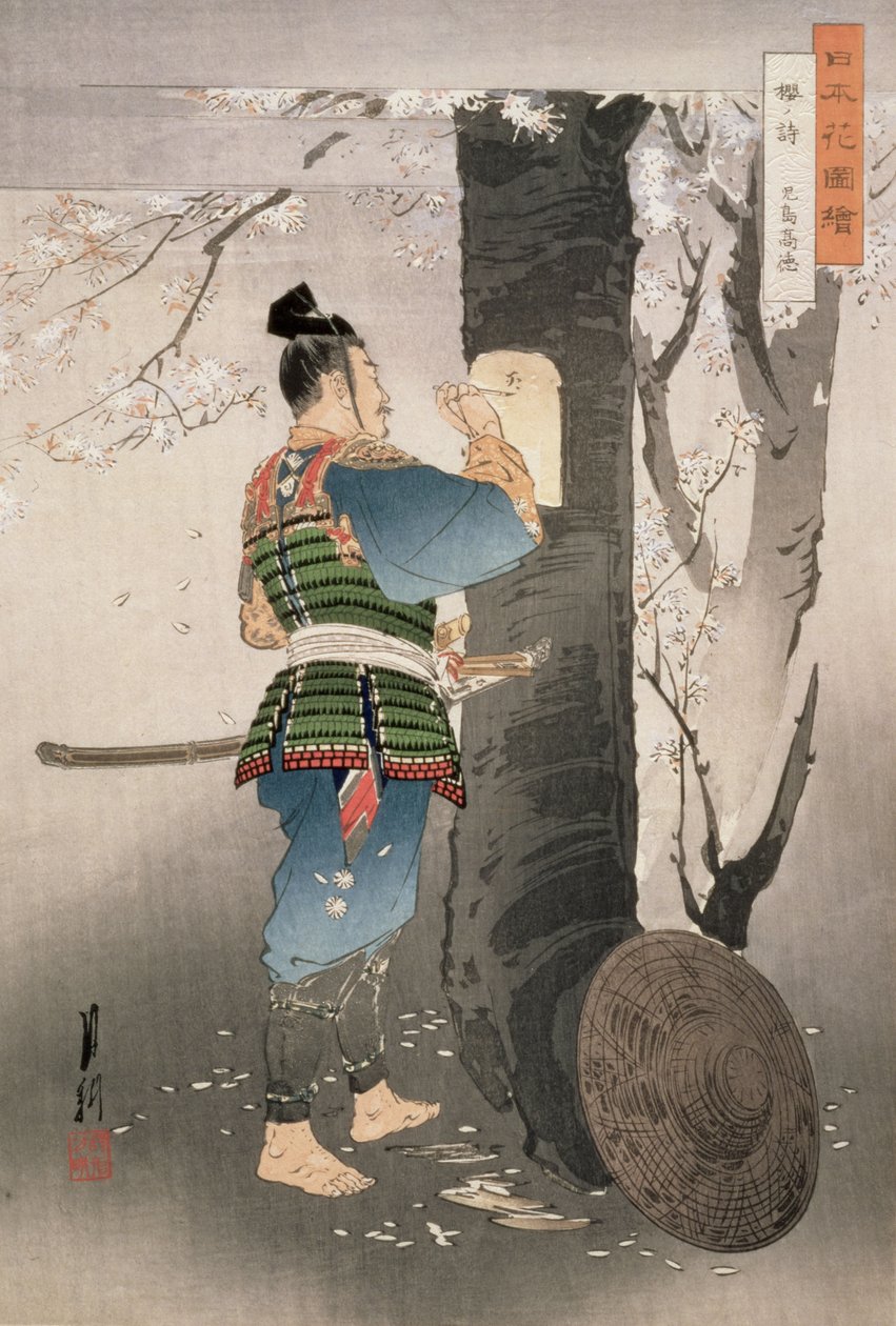 Kojima Takanori skriver en dikt på ett körsbärsträd, från serien "Pictures of Flowers of Japan", 1895 (träblocktryck) av Ogata Gekko