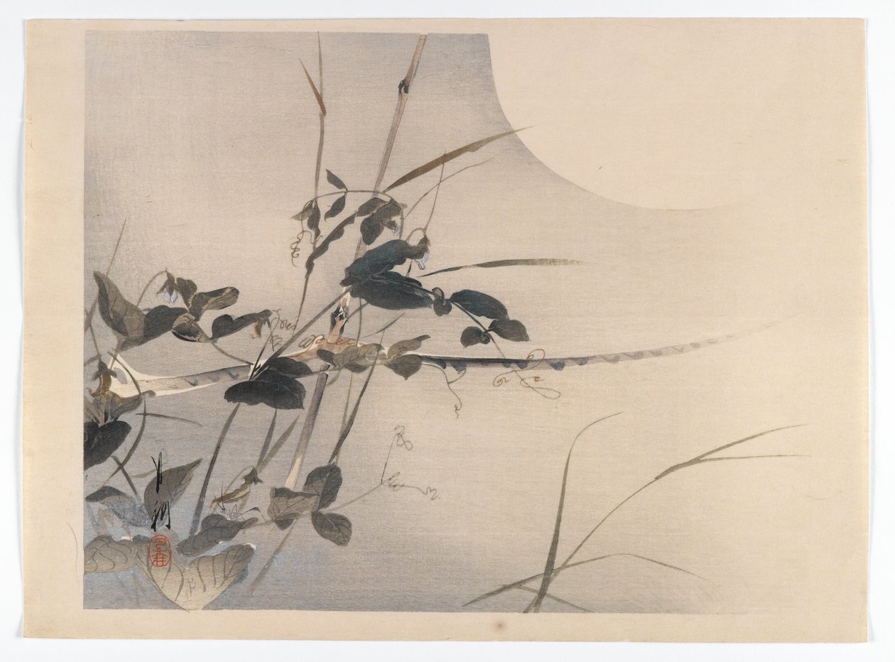 Moon and Foliage, albumsida från en fågel- och blommabok, ca 1890-1900 (träblocksfärgtryck med silverpigment) av Ogata Gekko