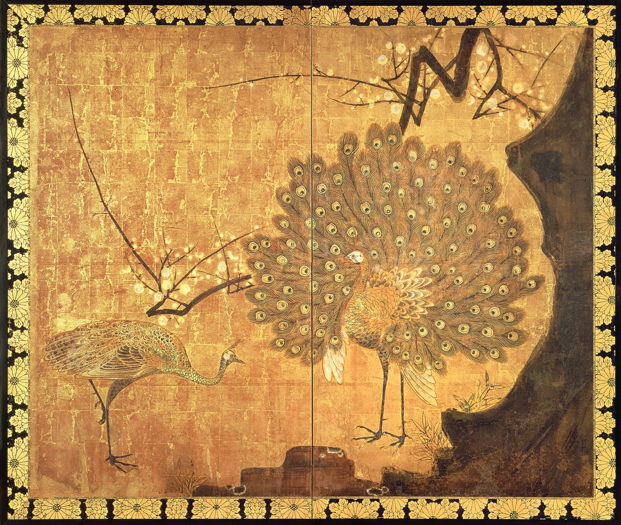 Påfåglar, Edo Period (bläck, färger och guld på papper) av Ogata Korin