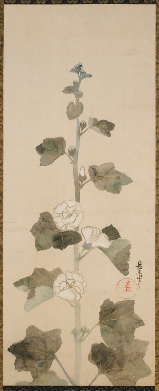Vita stockrosor, Edo-period, sent 1600-tidigt 1700-tal. av Ogata Korin