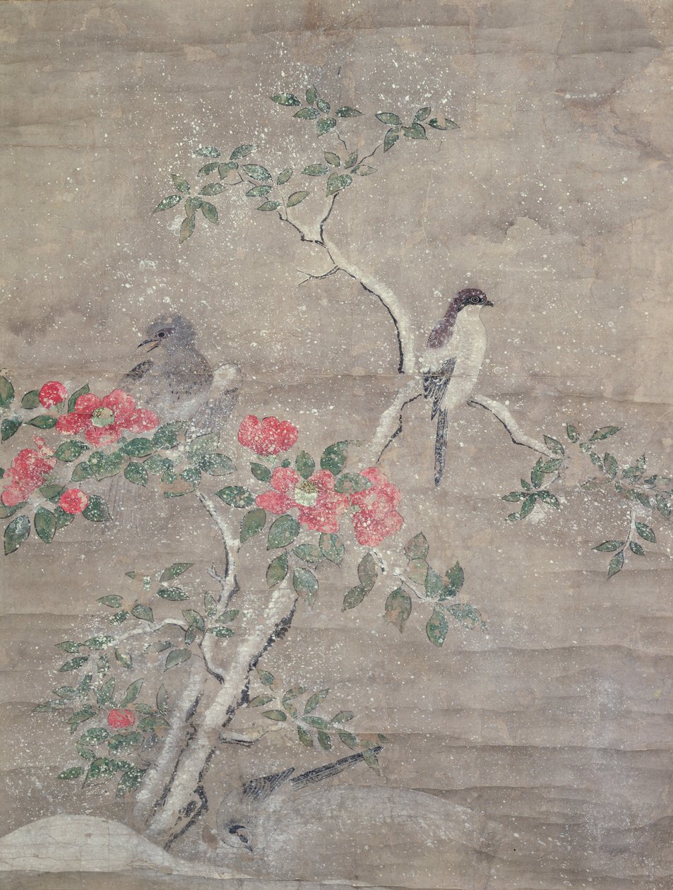 Fåglar och kamelia i snö, ca 1700 (bläck och färger på papper) av Ogawa Haritsu