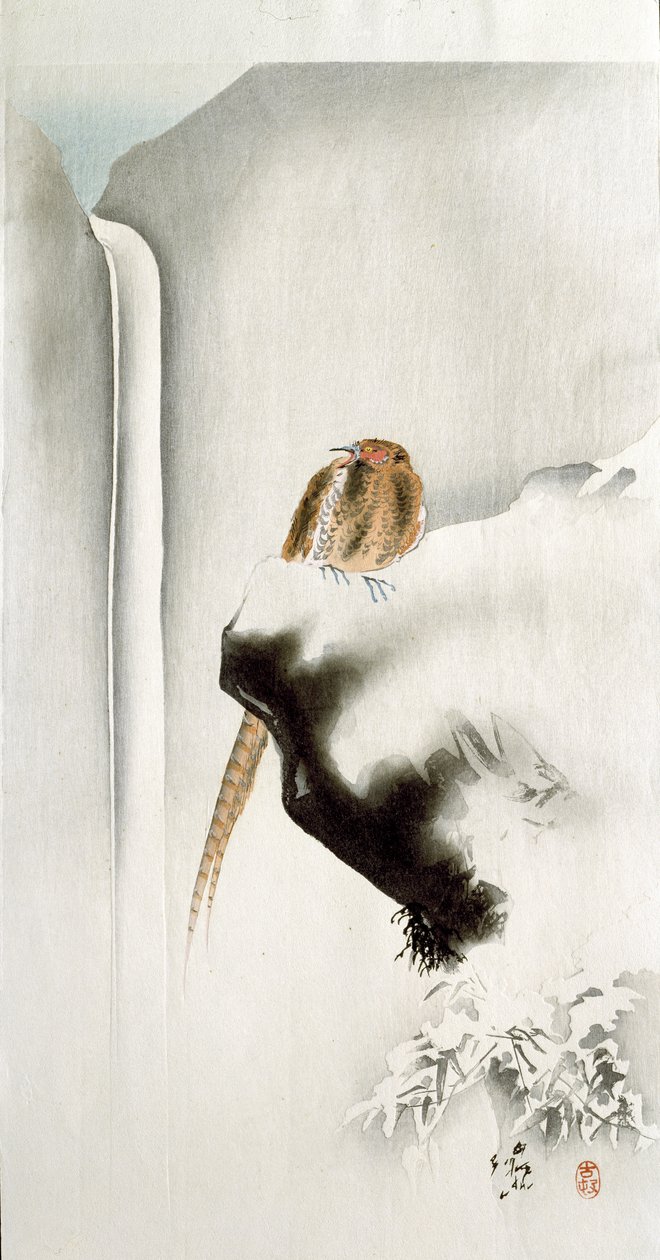 En fasan på en klippkant, med ett vattenfall i bakgrunden, 1907 (träsnitt i färg) av Ohara Koson