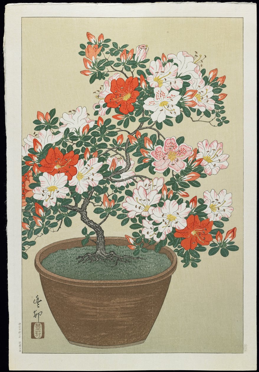 Azalea i kruka, 1930-tal av Ohara Koson