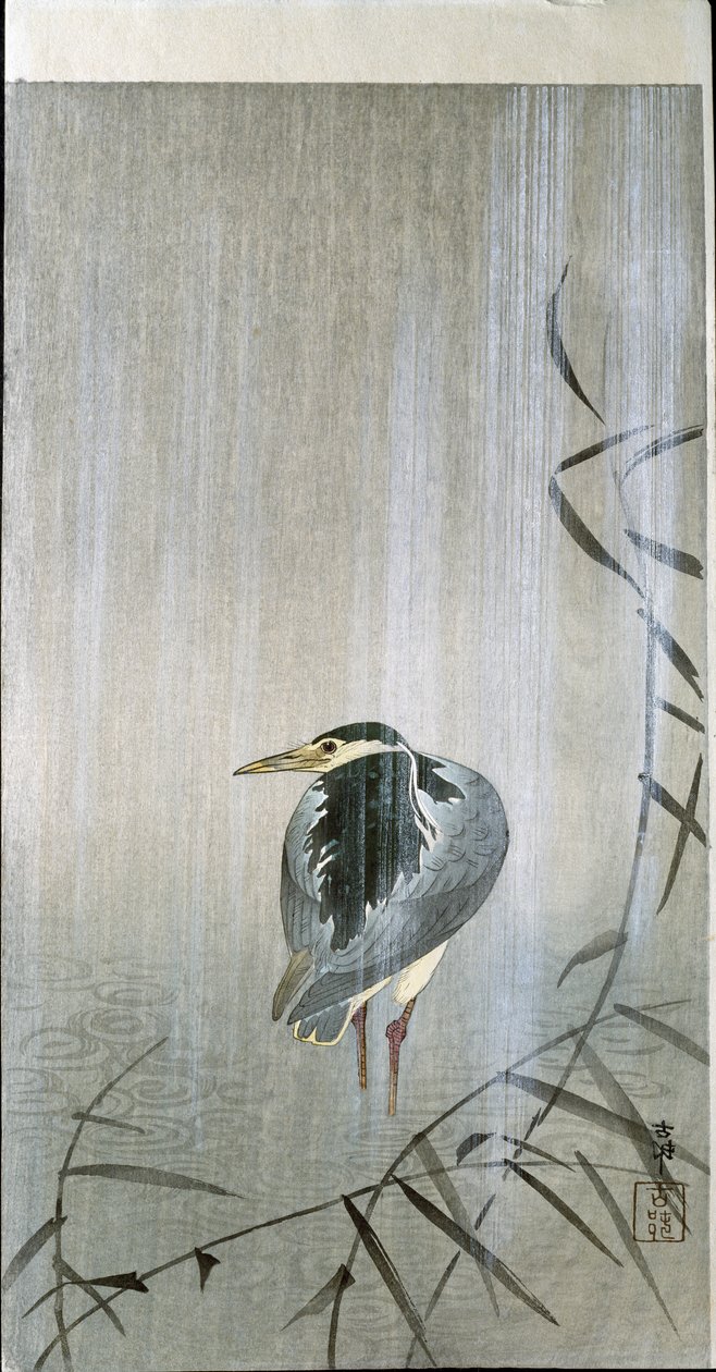 Fågel i regnet, 1907 av Ohara Koson