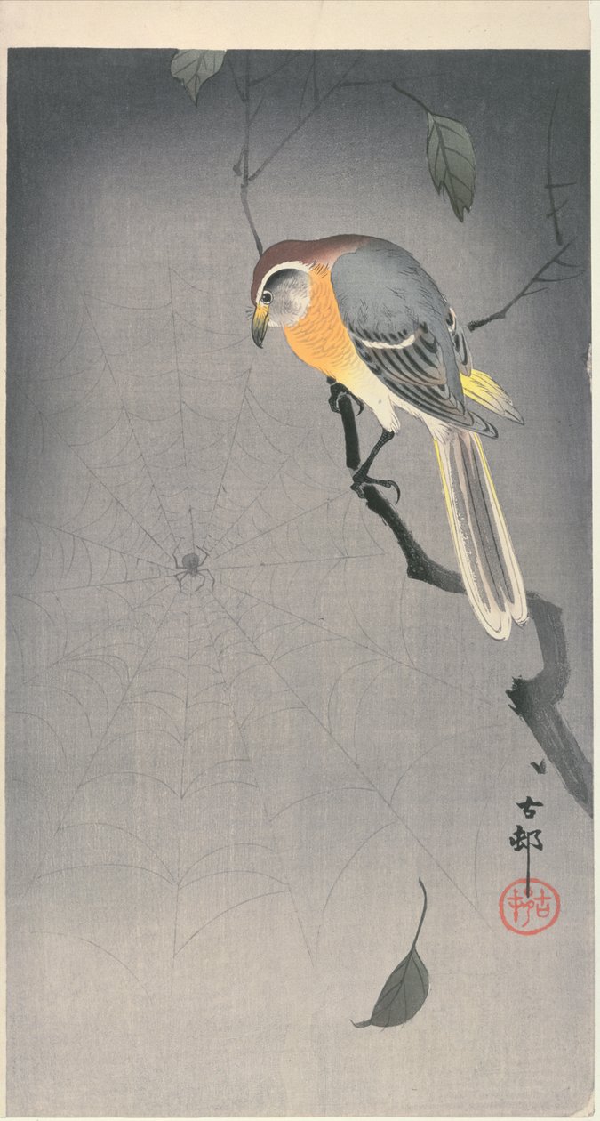 Fågel på en gren som tittar på en spindel, ca. tidigt 1900 (trätryck i färg) av Ohara Koson