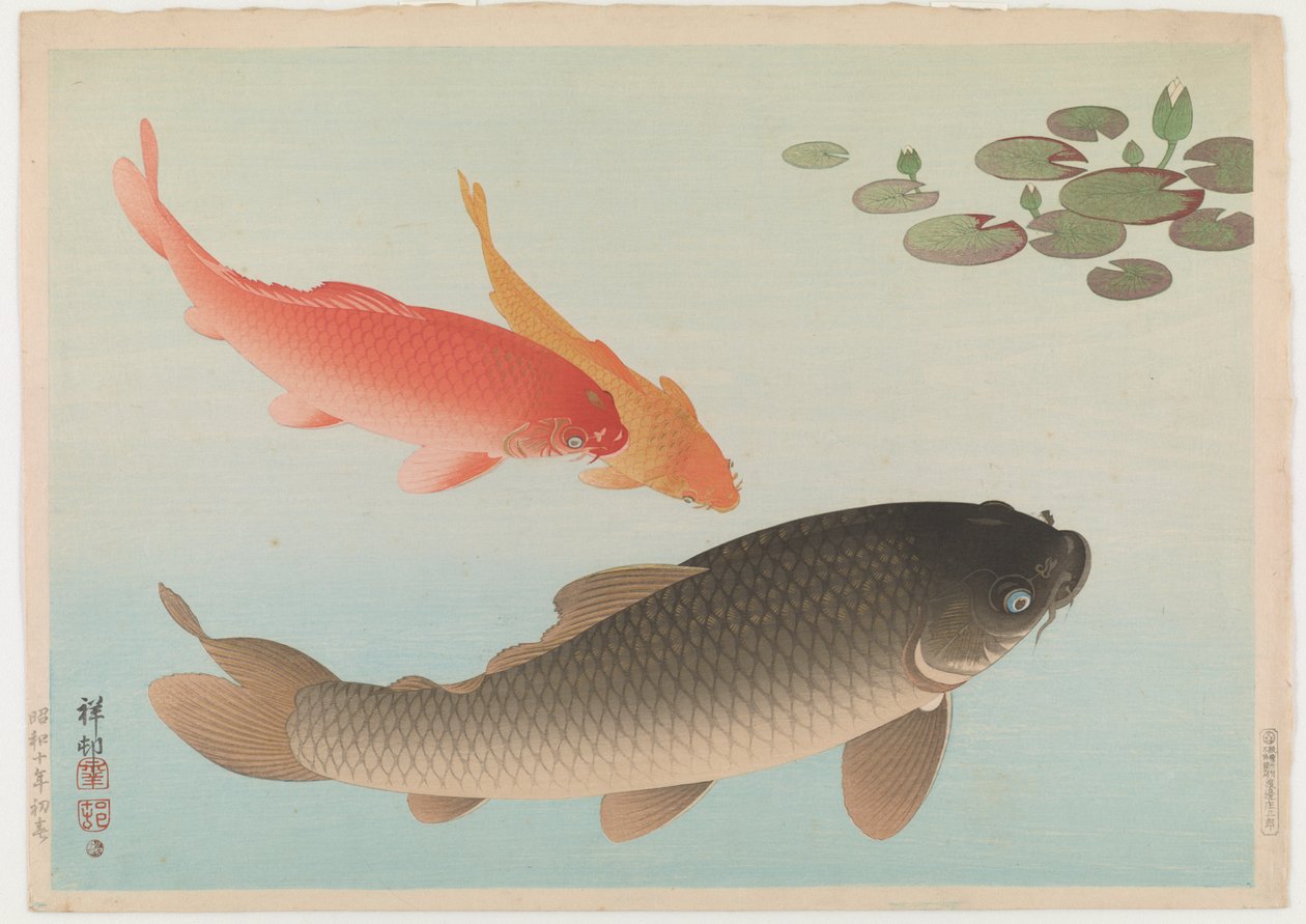 Karp, 1935 (trätryck i färg) av Ohara Koson