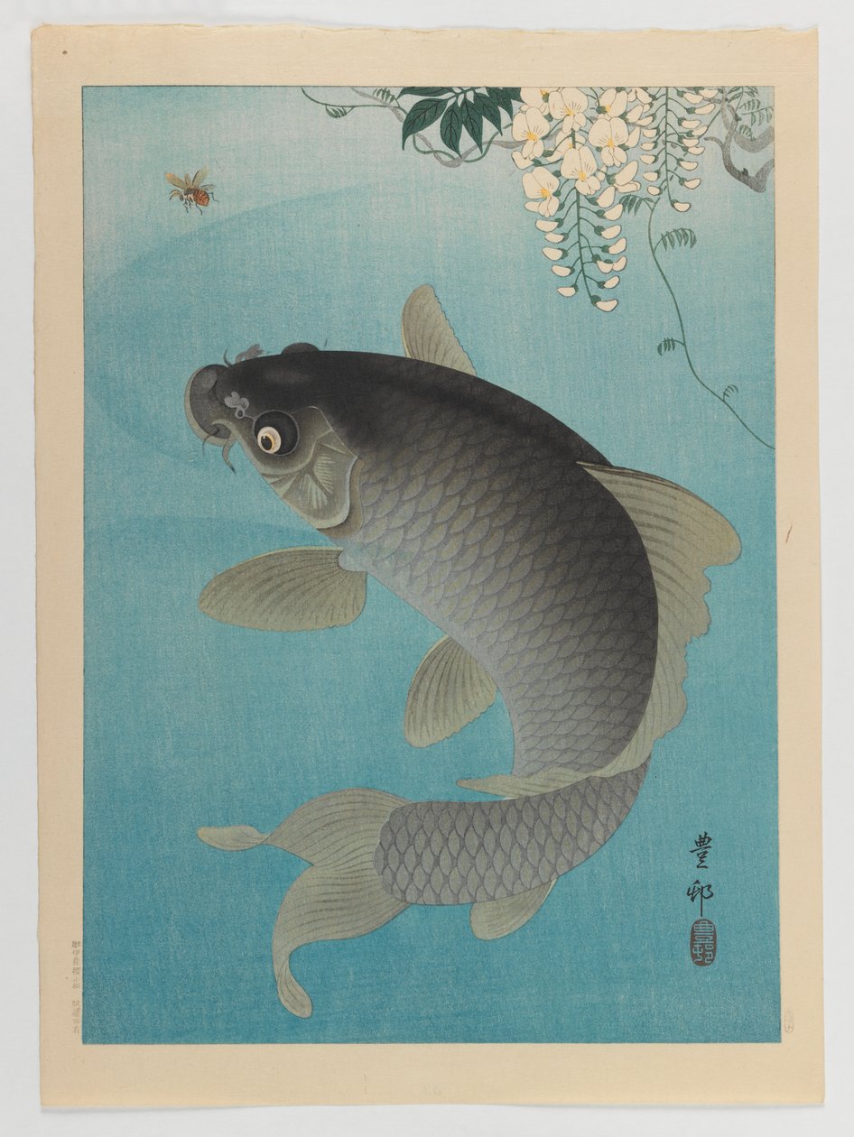 Carp Beneath Wisteria, ca 1935 (träblock i färg) av Ohara Koson