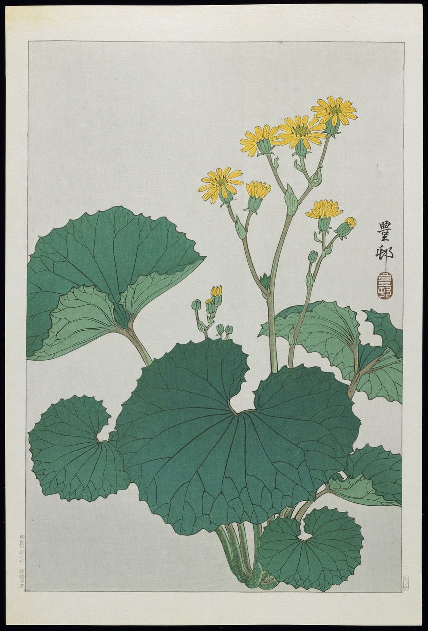 Blommor av japanska silverblad, 1930-tal av Ohara Koson