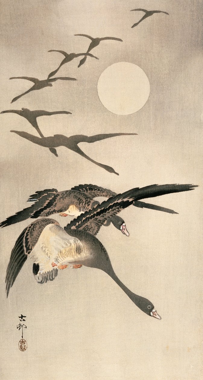 Flygande gäss och fullmåne, ca 1900-talets början (färgtryck) av Ohara Koson