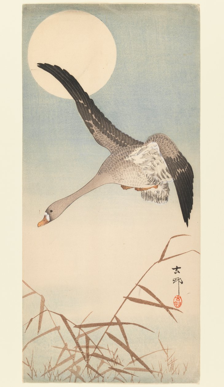 Gås som flyger i månsken, ca 1910 (träblockstryck) av Ohara Koson
