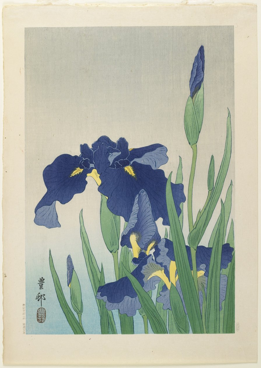 Iris, mitten av 1900-talet av Ohara Koson