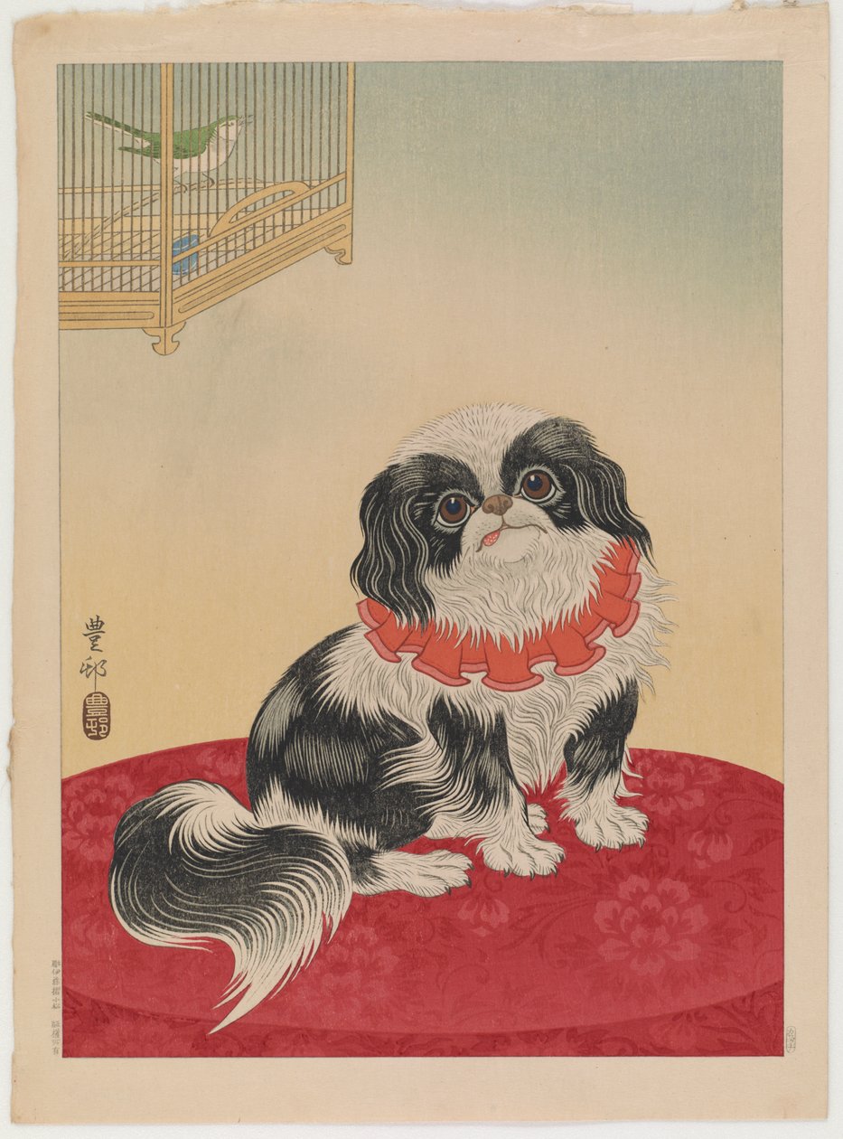 Pekingeserhund, ca 1930 (träblock i färg) av Ohara Koson