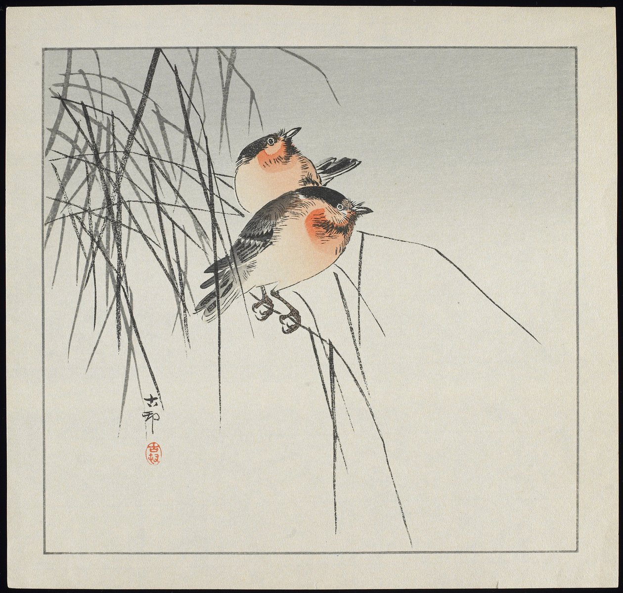Två fåglar på vass, före 1912 av Ohara Koson