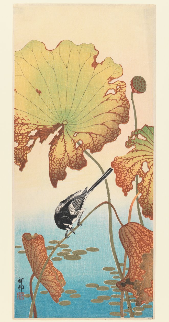 Vipstjärt och lotus, ca 1915 (träblocktryck) av Ohara Koson
