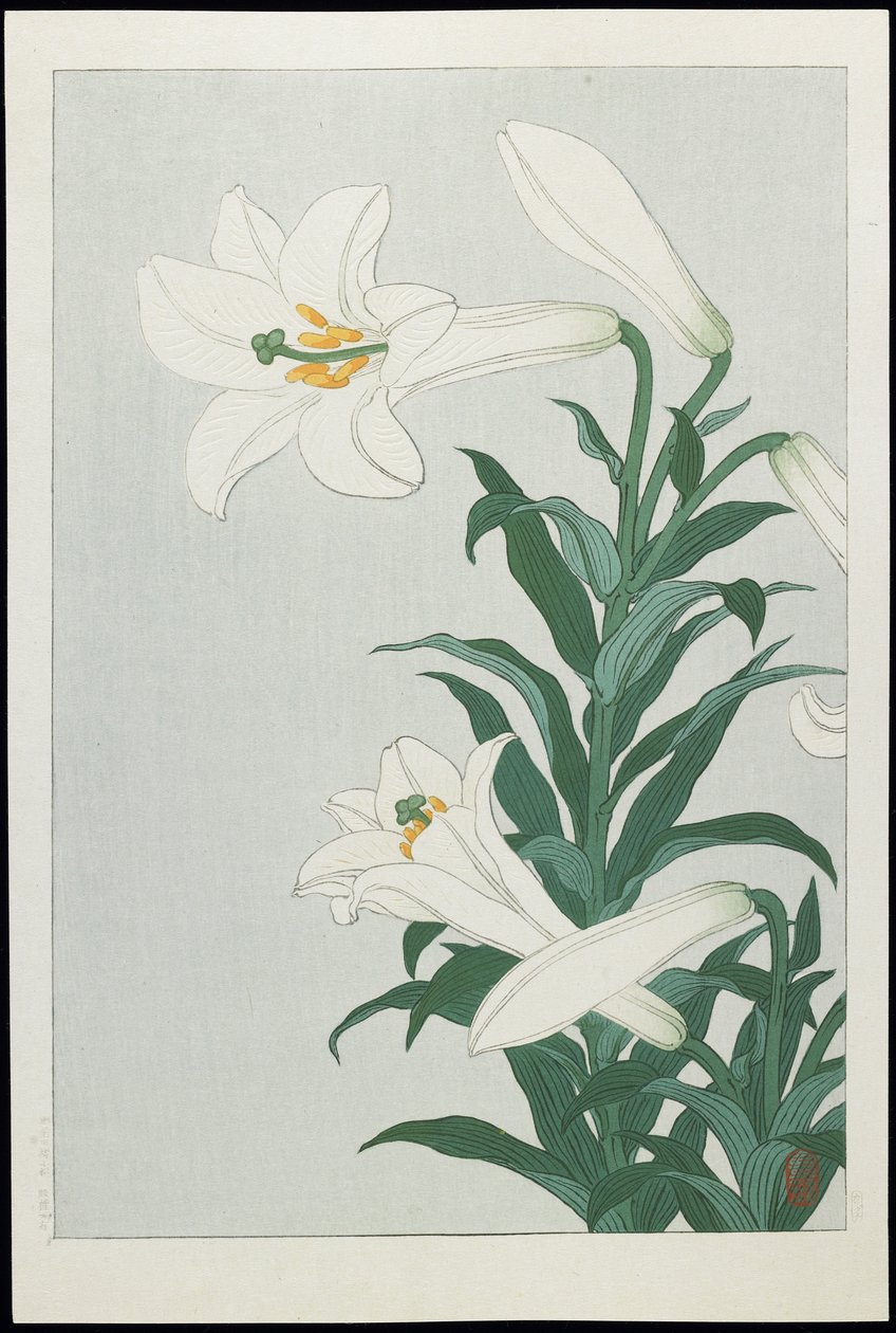 White Lily, 1930-tal (trätryck i färg) av Ohara Koson