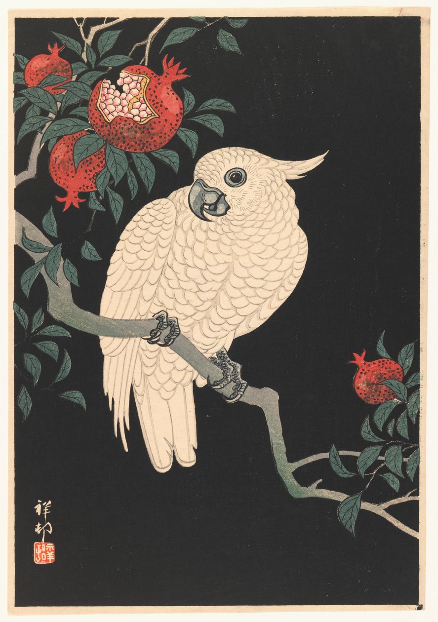 Vit papegoja och granatäpple, 1927-1989 (träblockstryck) av Ohara Koson
