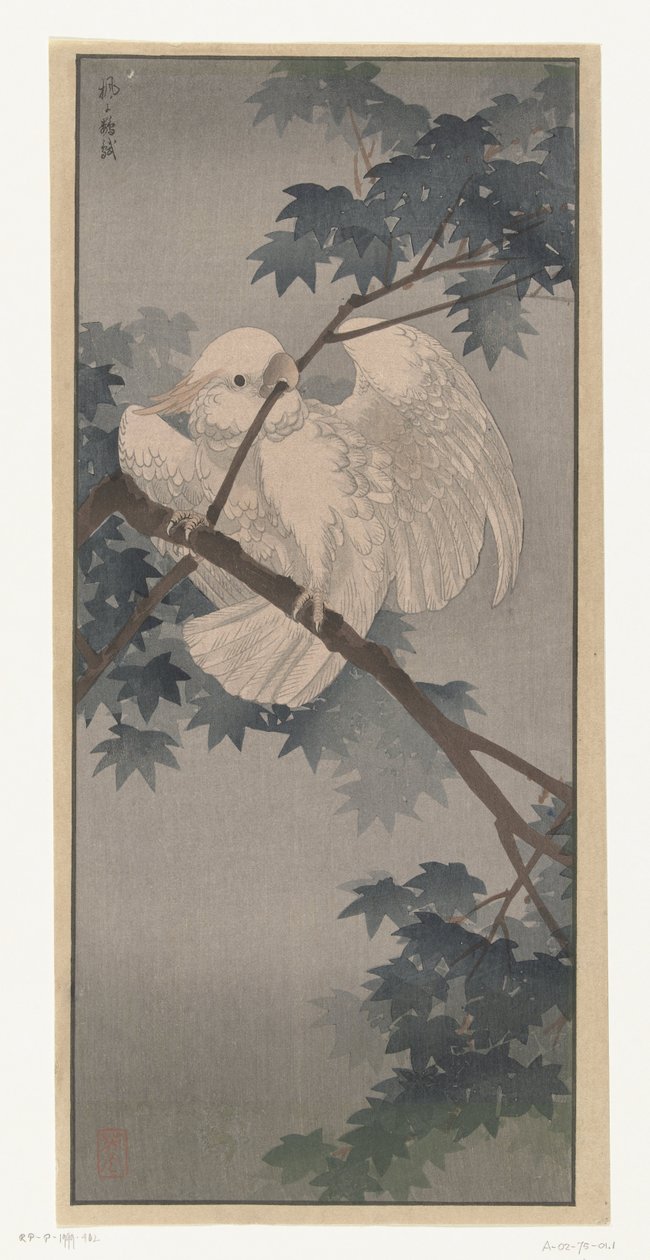 Gulkrönt kakadua i träd av Ohara Koson (attributed to)