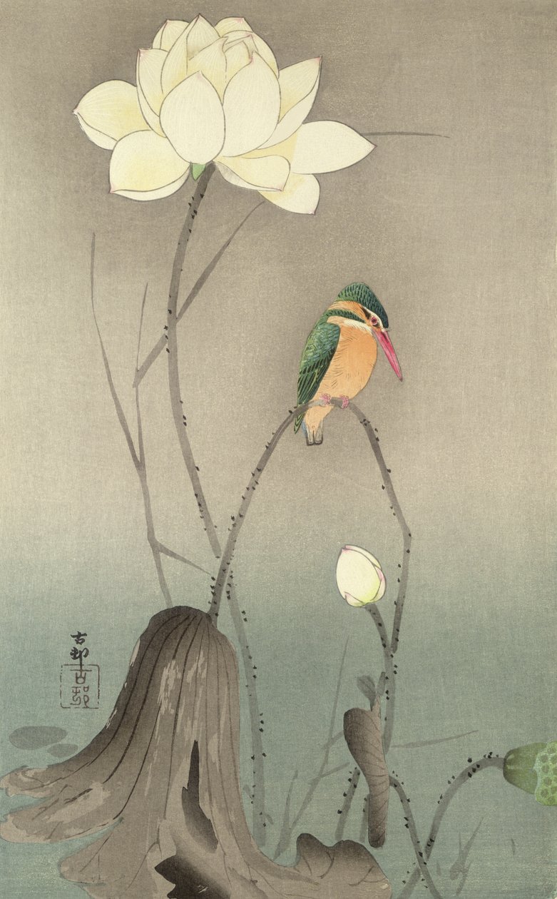 En kungsfiskare och en lotus, ca 1910, av Ohara Koson