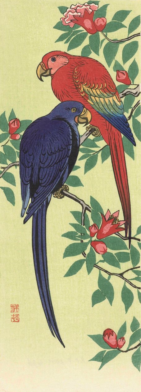 En röd och en blå papegoja, av den japanska konstnären Ohara Koson av Ohara Koson