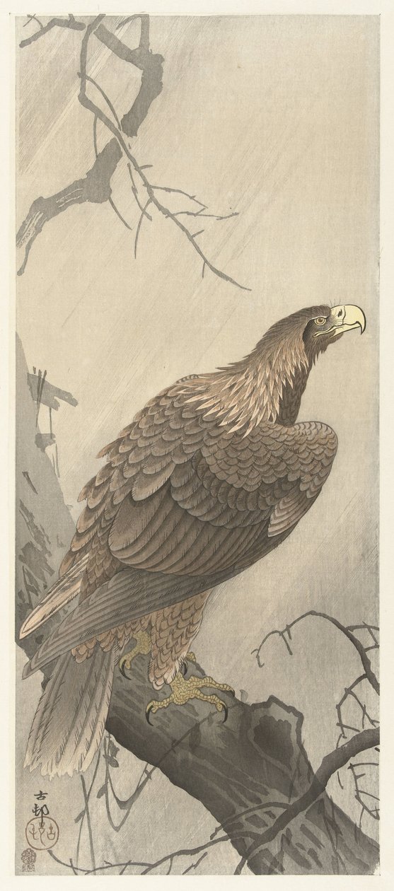 Örn på trädgren av Ohara Koson