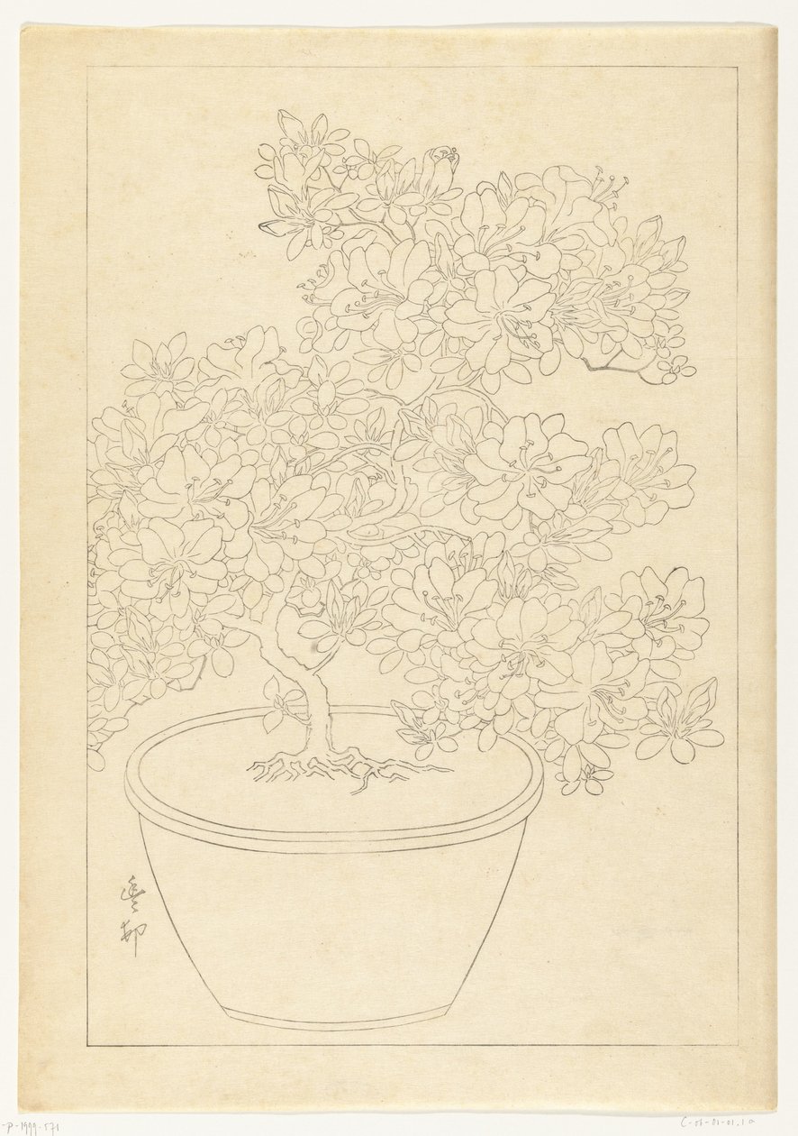 Blommande azalea i kruka av Ohara Koson