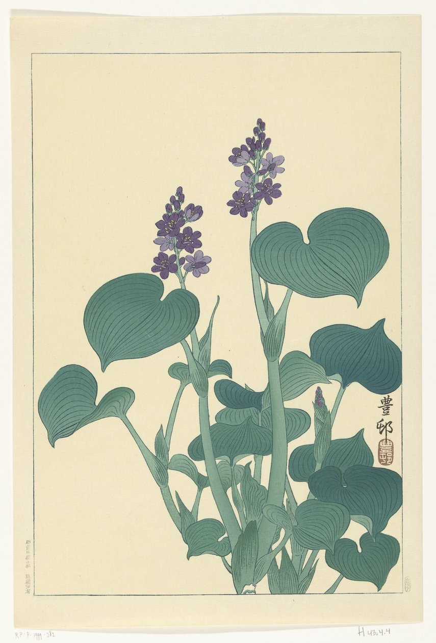 Blommande hostor av Ohara Koson