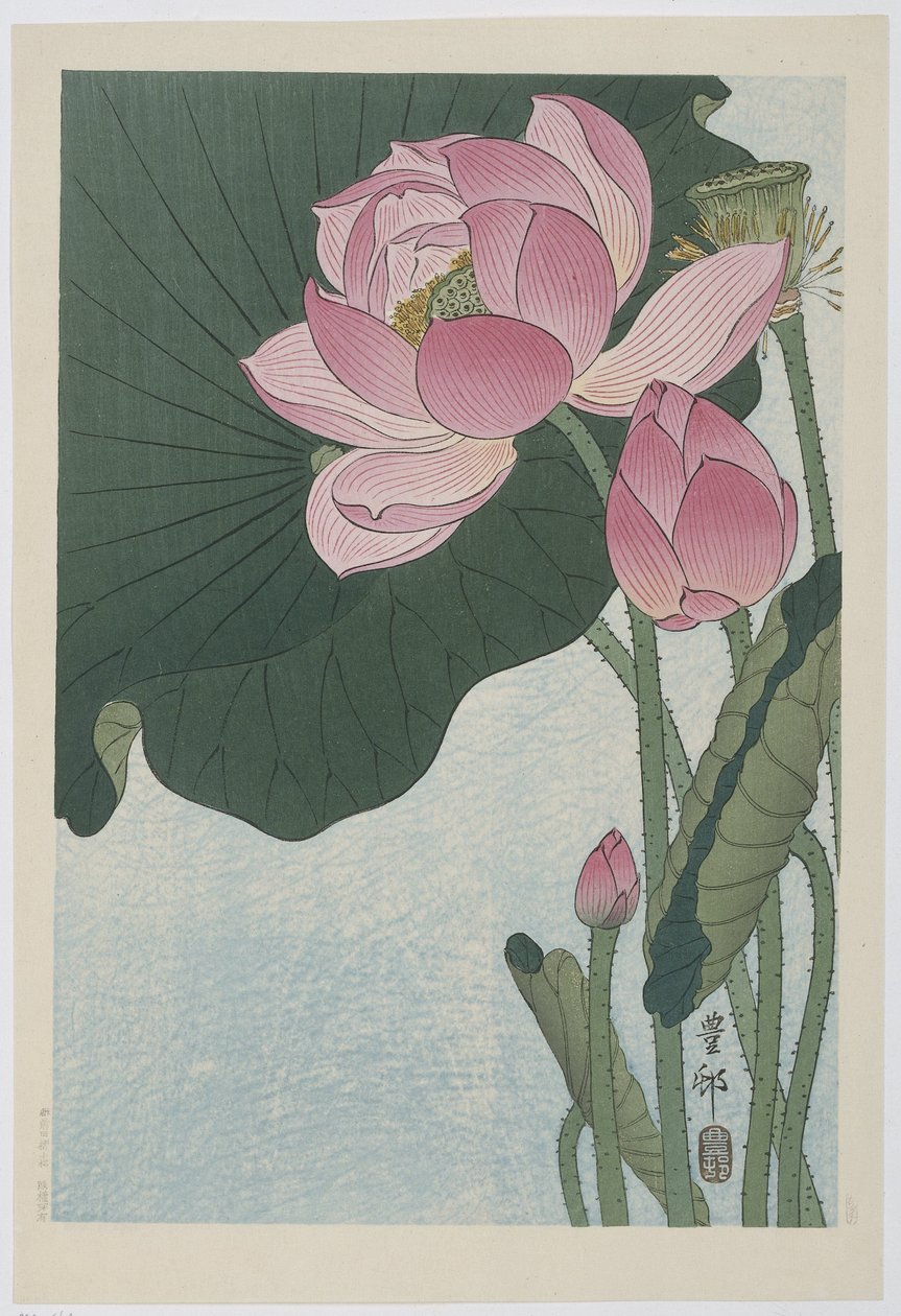 Blommande lotusblommor av Ohara Koson