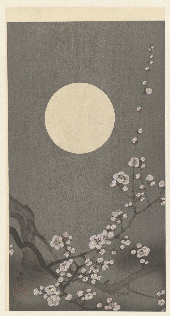 Blommande plommonblomning vid fullmåne av Ohara Koson