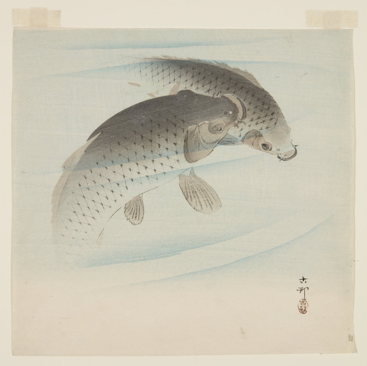 Karp (Koi) (trätryck i färg) av Ohara Koson