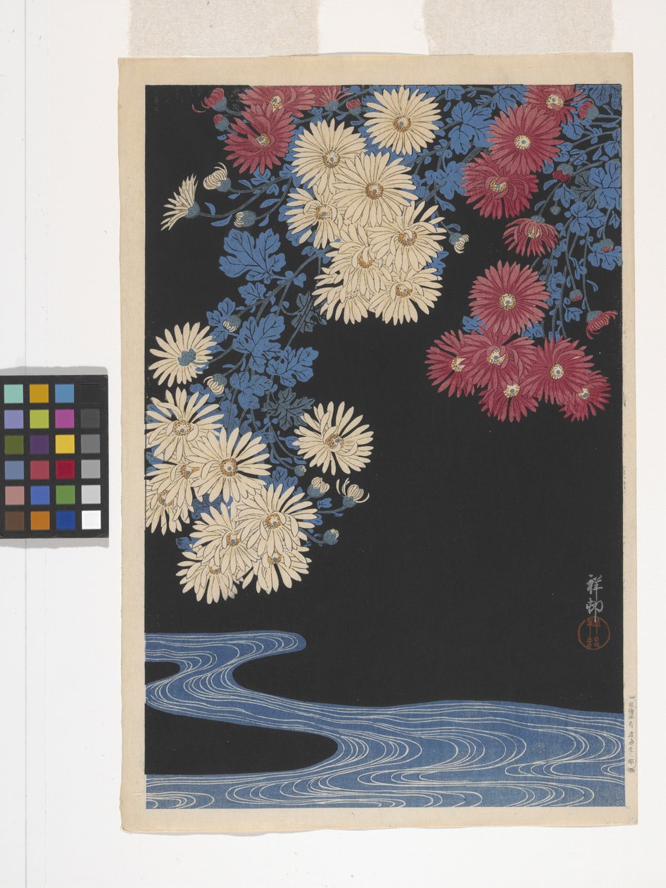 Chrysanthemums And Stream (trätryck i färg) av Ohara Koson