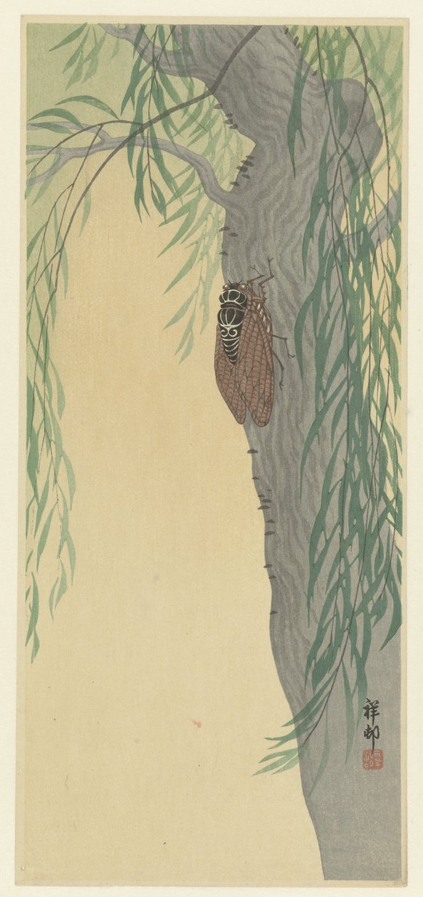 Cikada på ett träd av Ohara Koson