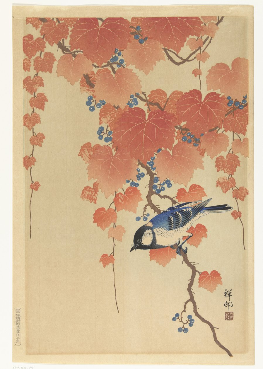 Coal Tit är en Paulownia-gren av Ohara Koson