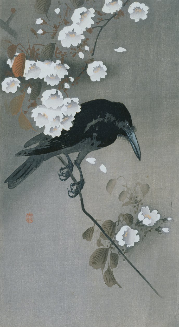 Kråka i en Cherry Blossom gren av Ohara Koson