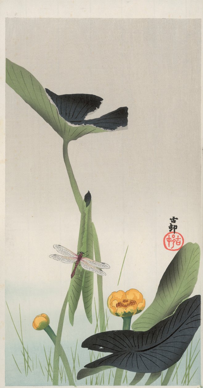 Dragonfly and Lotus (träblock i färg) av Ohara Koson