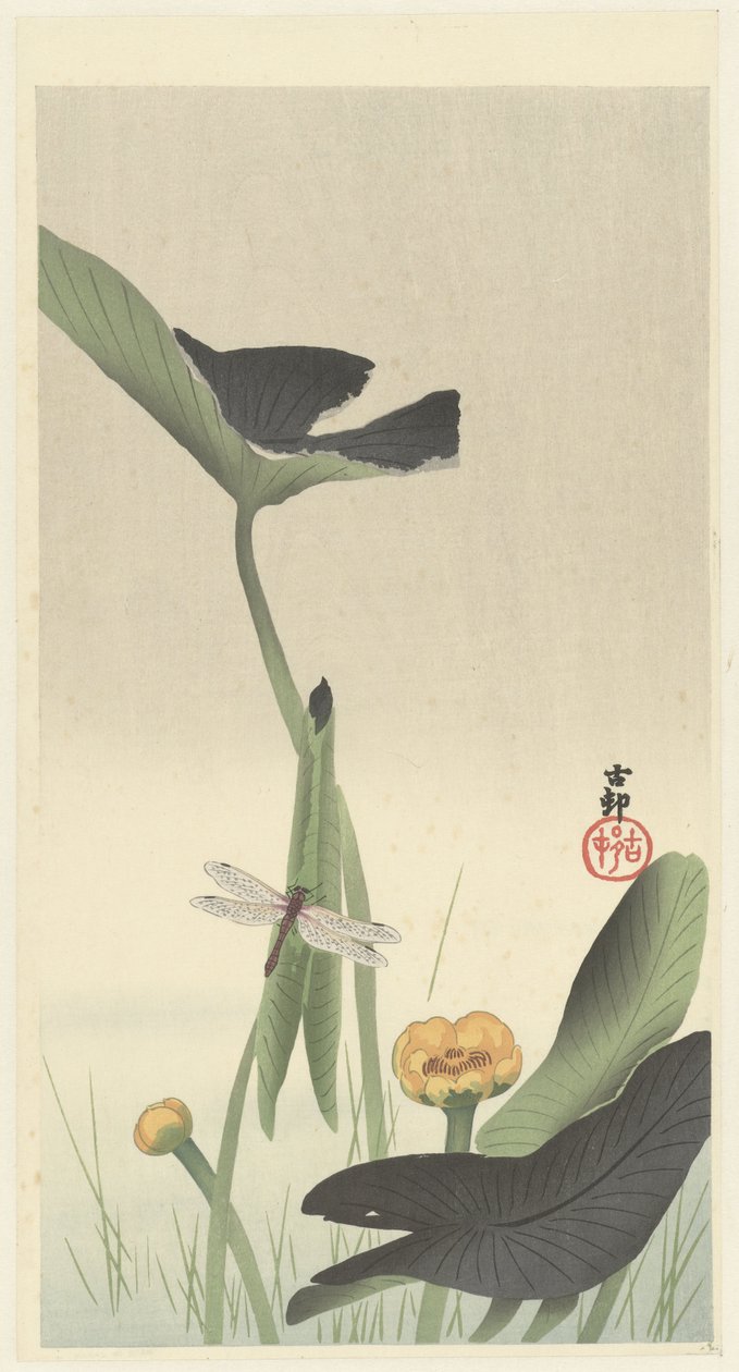 Trollslända och lotusblomma, ca 1900-30 (träsnitt i färg) av Ohara Koson