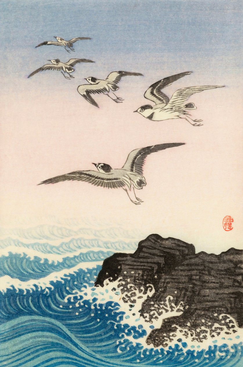 Five Seagulls Above a Rock in the Sea, 1900-talet (japanskt tryck) av Ohara Koson