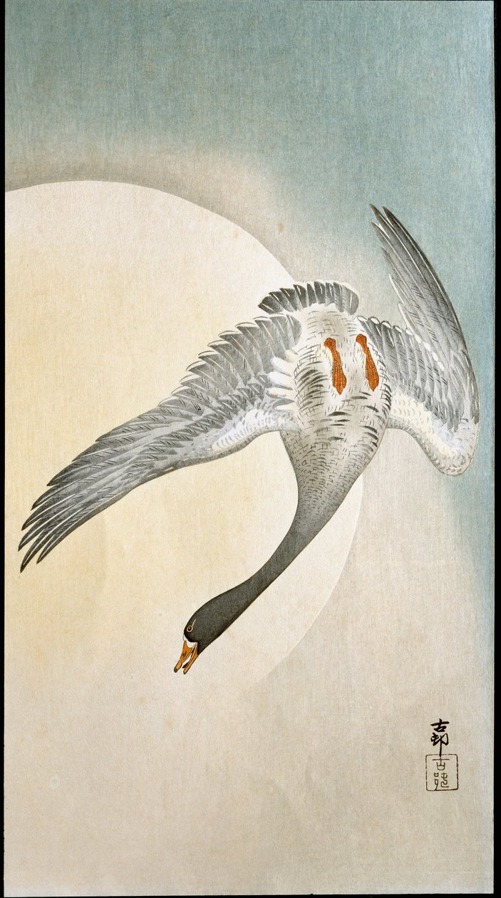 Ankaflyg i månsken Xylografi och japanskt tryck av Ohara Koson (1877-1945) 1908 Privat samling DR av Ohara Koson