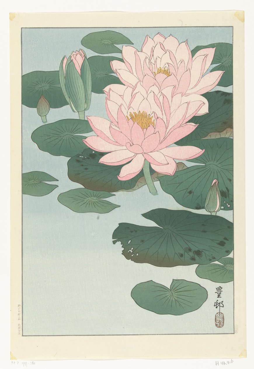 Blommande näckros av Ohara Koson
