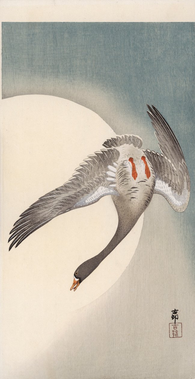 Flygande vispgås sett underifrån framför månen (trätryck i färg) av Ohara Koson